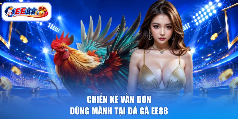 Chiến kê vần đòn dũng mãnh tại đá gà EE88