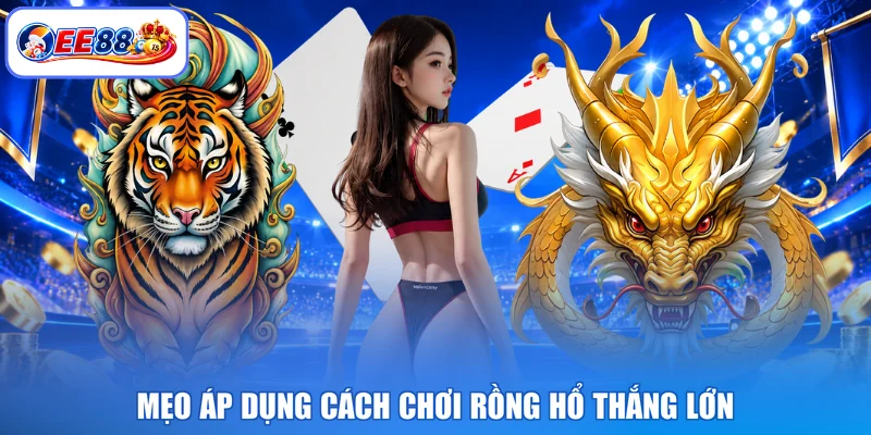 Mẹo áp dụng cách chơi rồng hổ thắng lớn